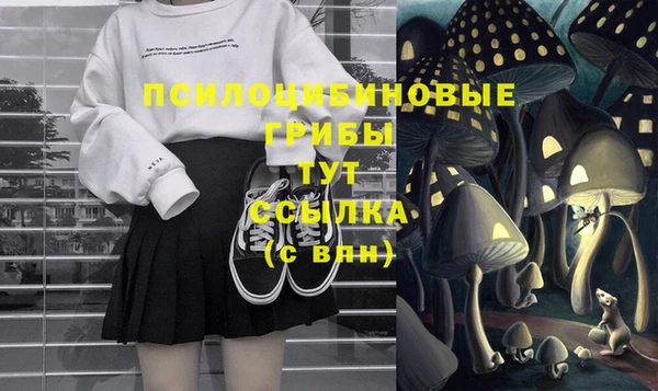 mdma Вяземский