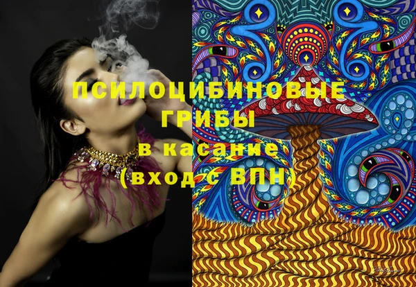 твердый Вязьма